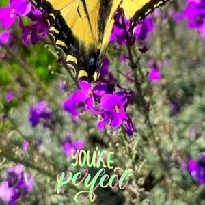 ♍ Apparel || BEAUTY || ACCESSORIES ♍